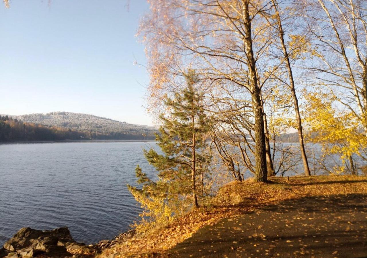 Lipno Pearl Hotel Lipno nad Vltavou Buitenkant foto